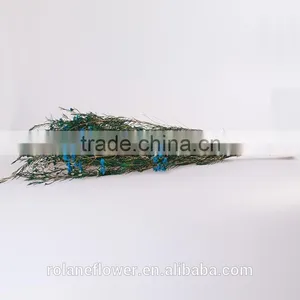 Fresh Cut Blue Decorative Flowers Wintersweet From Kunming thumbnail-4