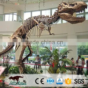 OA-SD-L100 Quality Fossil Replica Museum Dinosaur Skeleton thumbnail-3