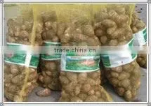 Frsh Chinese Taro thumbnail-1