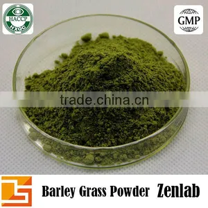 Best Selling Natural Green Barley Grass Powder thumbnail-3