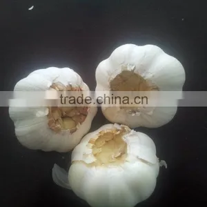 Garlic Cutting Machine/cutting Garlic Machine/garlic Cutter/garlic Processing Machine thumbnail-5