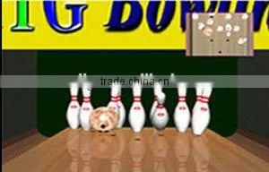Simulated Bowling thumbnail-2