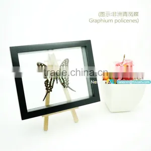 FOUSEN(039) Nature& Art Natural Gifts and Crafts Glass Souvenir thumbnail-2