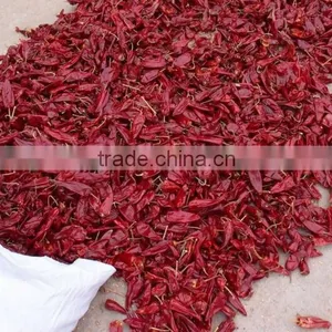 Hot Chillies thumbnail-2