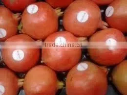 Pomegranate thumbnail-3