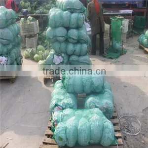 Beijing Cabbage/round Cabbage/flat Cabbage From Factory thumbnail-3