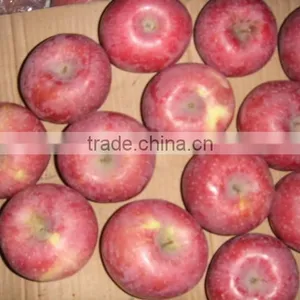 Fresh Qinguan Apple thumbnail-5