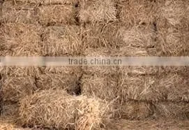 Straw Hay Bale, Wheat Hay Bale, Wheat Straw Bale, Straw Hay for Animal, Feeding Straw Hay thumbnail-1