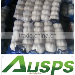 Fresh Chinese 3p Pure White Garlic thumbnail-2