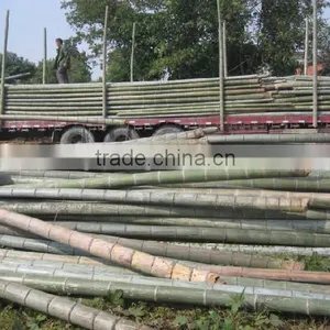Construction Building Material Bamboo thumbnail-3