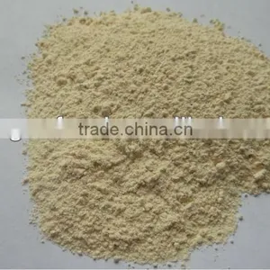 2012 Dehydrated Onion Powder thumbnail-1
