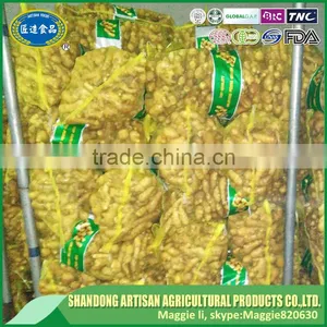 High Quality China Bulk Fresh Ginger thumbnail-4