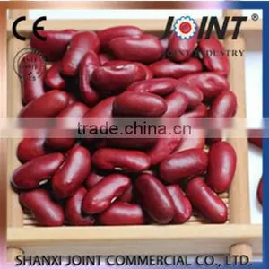 ECO- Friendly Organic England Dark Red Kidney Beans thumbnail-4