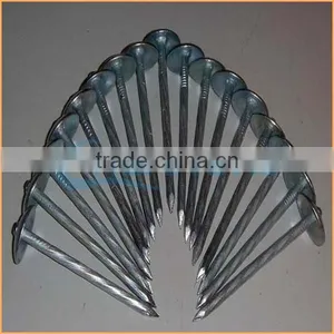 Top Quality Competitive Zinc Roofing Nail With Umbrella Head From Trusted Chuanghe Suppliers thumbnail-2