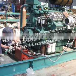 Diesel Generator Manufacturer thumbnail-1