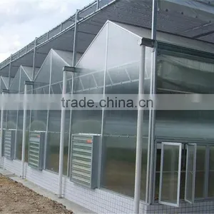 Light Steel Structure Greenhouse for Modern Agriculture thumbnail-3