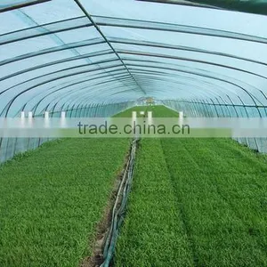 Poly Tunnel Vegatable Greenhouse Covered by Polythene Film thumbnail-5