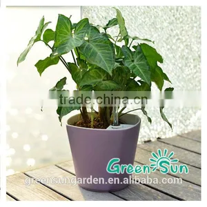 Palstic Garden Flower Pot thumbnail-1