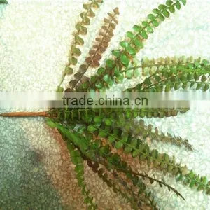 Home and Outdoor Garden Edging Christmas Decoration 60cm or 24inches Height Artificial Small Grass for Green Wall E04 1025 thumbnail-3