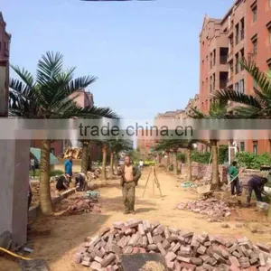Artificial Palm Tree for Decoration China Fake Garden Fiberglass Tree Decor thumbnail-6