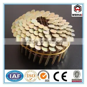 Pallet Coil Nail/Zince Coil Nails /Painted or Polished Coil Nail for Pallet thumbnail-1