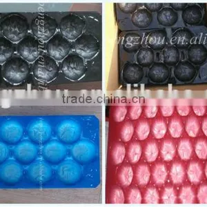 Made in China Disposable Plastic Fruit Tray thumbnail-5