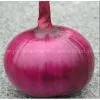 2012 Onion Price thumbnail-1