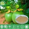 Passion Fruit Juice Powder thumbnail-1