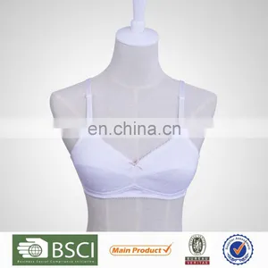 China Women Bra Cotton Underwired Plus Size Bra Push up Bra Fashion Bra thumbnail-1