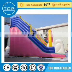 Popular Theme Park Slides, Cat Inflatable Bouncy House, ,inflatable Castle thumbnail-1