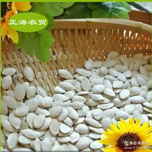 Pumpkin Seeds Shine Skin thumbnail-4