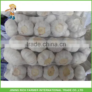 Low Price High Quality Cold Storage Fresh White Garlic thumbnail-1