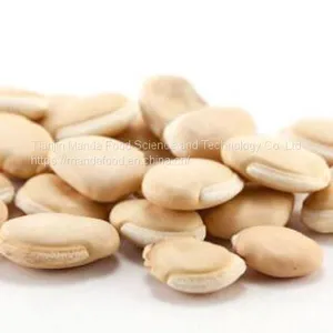 White Hyacinth Bean/White Lentils thumbnail-1