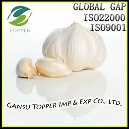 Fresh Garlic thumbnail-1