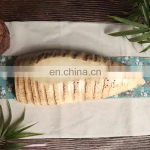 Wholesale European Boat Shape Creative Bamboo Root Multi Dried Fruit Candy Plate Cute Snack Tray for Home Decoration Divide thumbnail-4