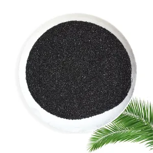 High Quality Granular Coconut Shell Charcoal Activated Carbon for Air Purification Odor Removing Activated Carbon thumbnail-1