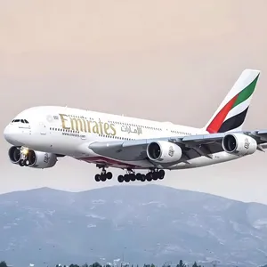 Air Freight/Freight Forwarding/China Import and Export thumbnail-4