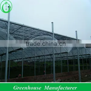 Professional Film Greenhouse Supplies thumbnail-1
