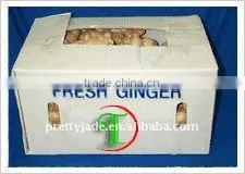 Chinese Fresh Ginger Packed in Carton thumbnail-1