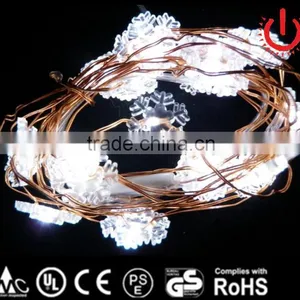 6v Adapter Powered String Light thumbnail-1
