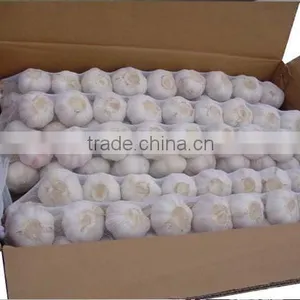 FRESH GARLIC IN NEW DROP thumbnail-3