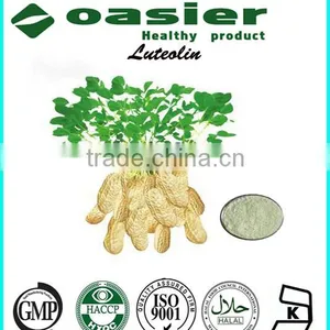 GMP Manufacture Supply Peanut Shell Extract Luteolin thumbnail-1