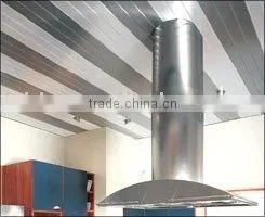 Customed Metal Strip Ceiling thumbnail-1