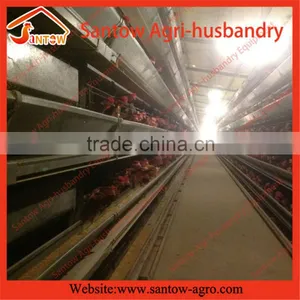 Stable Steel Structure Professional Chicken Egg Layer Cage Chicken Egg Layer House Design thumbnail-6