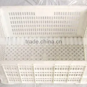 Large Fruit of White Plastic Fruit Crate F-005 thumbnail-1
