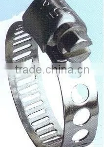 304/301 Stainless Steel Hose Clamp thumbnail-1