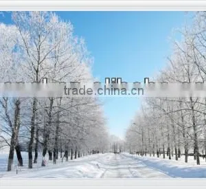 Webasto Heater & Picture Heater & Infrared Heater thumbnail-1