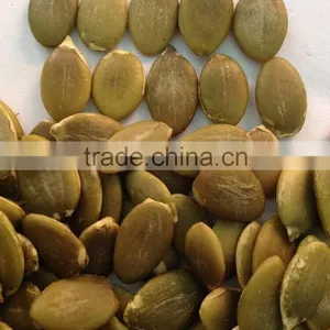Competitive Price~ 2015 New Crop Shine Skin Pumpkin Seeds,kernels thumbnail-1