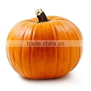 Red Pumpkin Exporters thumbnail-1