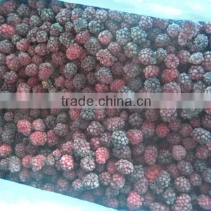 IQF Cultivated Blackberry thumbnail-1